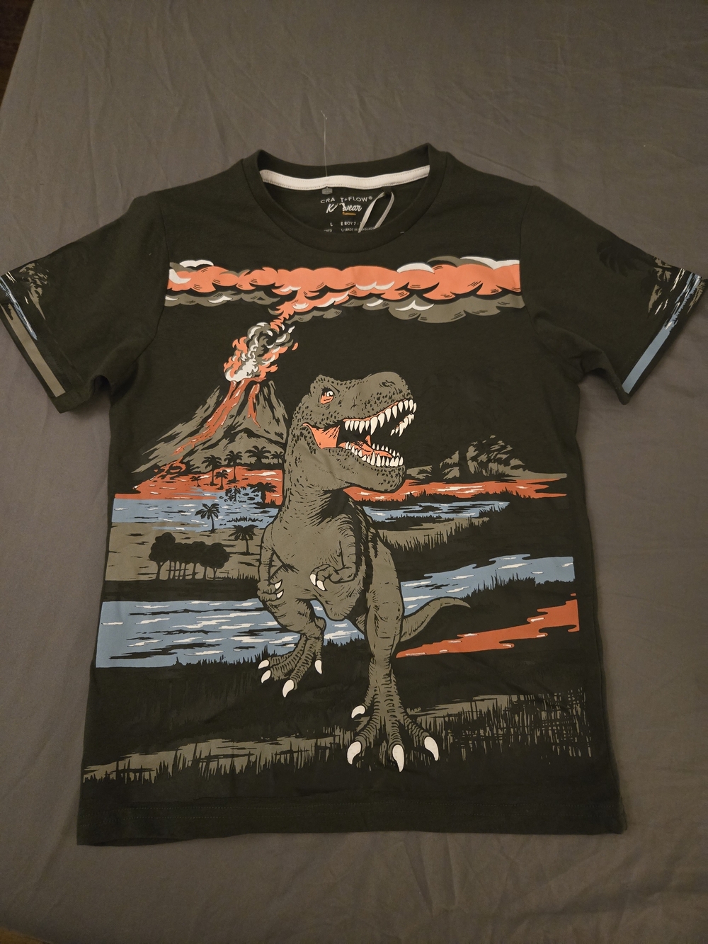 Kids Dark Grey Trex Dinosaur Graphic Tee with Volcano Design